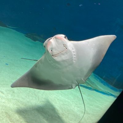 Huang_kokyang's profile picture. I love my country !! TAIWAN