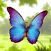 FLY🦋 (@fairlaunchyield) Twitter profile photo