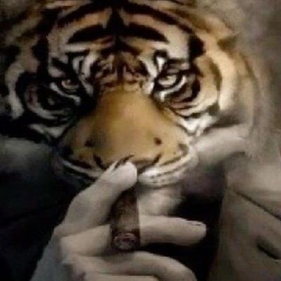 MBramch86267's profile picture. eh