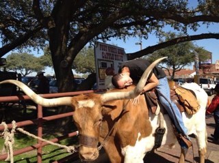 artimusalva's profile picture. 