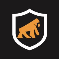 GShield (@gshieldbr) 's Twitter Profile Photo