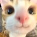 อ่อ ครับ (@xxkhrb578442) Twitter profile photo อ่อ ครับ (@xxkhrb578442) Twitter profile photo