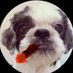 ロンCoffee🫘 (@msron333) Twitter profile photo ロンCoffee🫘 (@msron333) Twitter profile photo