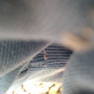 ahmdahm56065110's profile picture. الدرسه