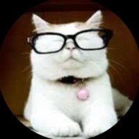 Catturd (@catturddd) 's Twitter Profile