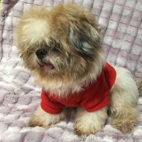 brybry (@fidelapatricio) 's Twitter Profile Photo