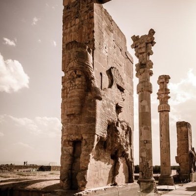 Omid_a89's profile picture. 