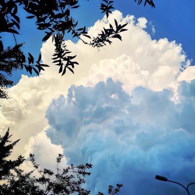 LucillaJoy33548's profile picture. 私は、旅行🌏🌈🏞、ゴルフ、⛳️🏌️‍♀️読書、スキューバダイビングが好きです
人生は白紙の本のようなもので、時間のある人だけが最高のページを書くことができます。
DMは苦手ですが、ご連絡頂けましたらお話したいと思います。