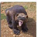 Andy Gould - @andgou6 - Twitter