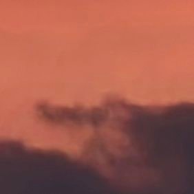 LoveMus70397835's profile picture. 