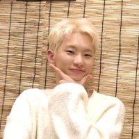 정말똘망(이벵 트친소) (@svt_hoshi2015) 's Twitter Profile