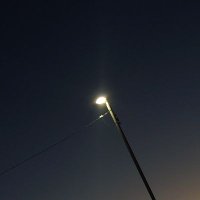 èå(ã³ãŠããŠ)ïŒ ãããã芳çµãã (@laplace404) 's Twitter Profile Photo èå(ã³ãŠããŠ)ïŒ ãããã芳çµãã (@laplace404) 's Twitter Profile Photo