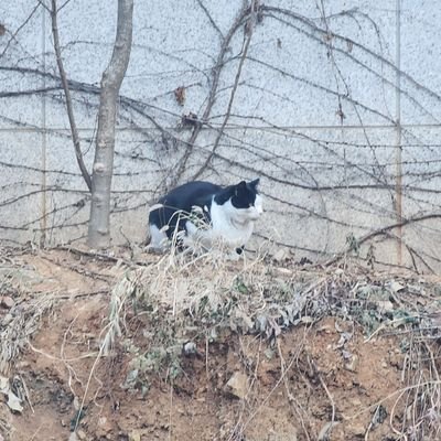편하게 살긴 무리인 한국인 /
사진 무단전재 금지 / a Korean photographer / 장비: 소니 a7m3 / sel35f18f