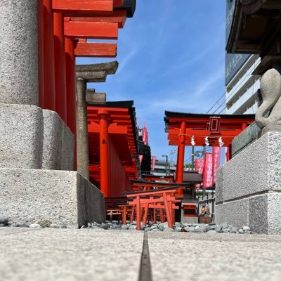 四月朔日(わたぬき)さんのプロフィール画像