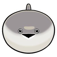 香ちゃん(jamo jamo) (@7kyh3s9guj34735) 's Twitter Profile