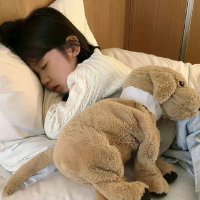 xue (@xuexuerr) 's Twitter Profile