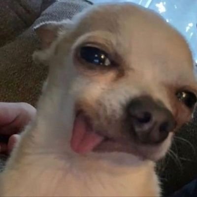 laynotlie's profile picture. tolong ingetin gue biar gak ovt, bilangin jangan ngeluh mulu

LAGI JUALAN RUMAH 2 UNIT SAMA SISTIK KEJU DAN PANGSIT KENCUR