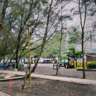 cacaca7748's profile picture. 