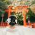 はるこ| インフラエンジニア (@haruuudaigaku) Twitter profile photo はるこ| インフラエンジニア (@haruuudaigaku) Twitter profile photo