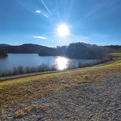 harlequinadam's profile picture. YOUR MIDAS TOUCH ON THE CHEVY DOOR (november flush and your flannel cure) stream speak now! 💜 header by @augustslipping ♡