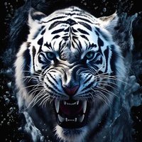 Selva (@selva450128) 's Twitter Profile