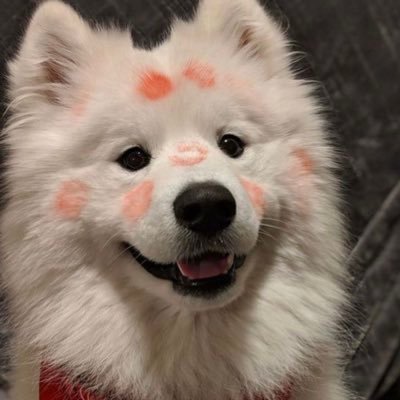 まい ぱんぷきん！