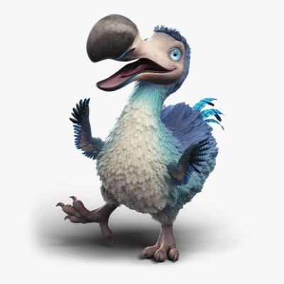 _dodogukan's profile picture. 
