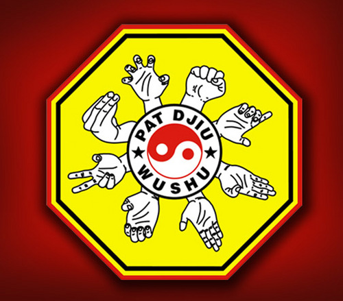 PDW_UAJ's profile picture. Unit Kegiatan Mahasiswa Pat Djiu Wushu Universitas Katolik Indonesia Atma Jaya Jakarta