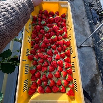 ssssss21_'s profile picture. 