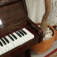 g (@mymchanai) 's Twitter Profile