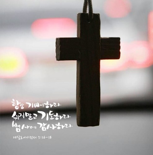 nversion97's profile picture. 