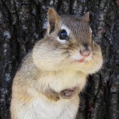 OksanaArmashula's profile picture. 映画の中のサウンドトラックが私のプレイリストの中心。