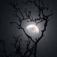 عبدالرحيم الخثران (@khatthran) 's Twitter Profile