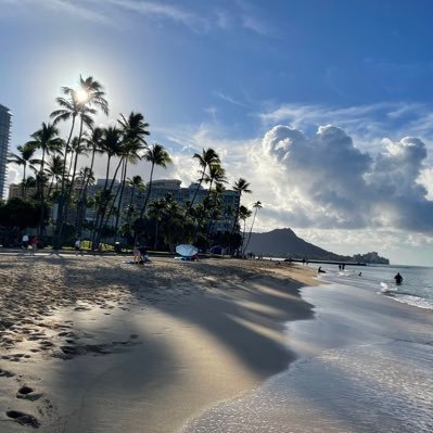 HCiwut's profile picture. サントラを聴きながら読書するのが至福の時。