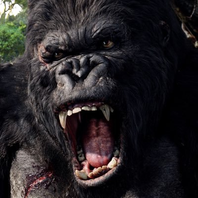 bett0814's profile picture. 