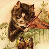 Klona (@klona_tr) 's Twitter Profile