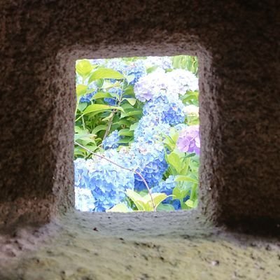 AsatovDilshat's profile picture. 映画のサウンドトラックが一番の宝物。