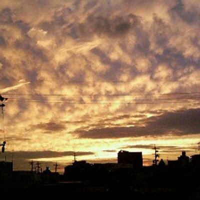 qq001viki's profile picture. #映画と音楽 | どちらも欠かせない存在。