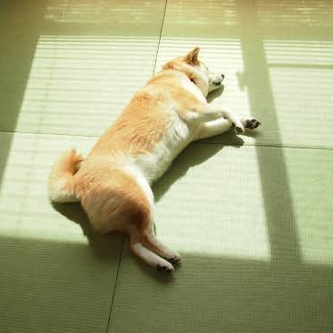 marius_myks's profile picture. 音楽と映画、どちらも私のインスピレーション源。