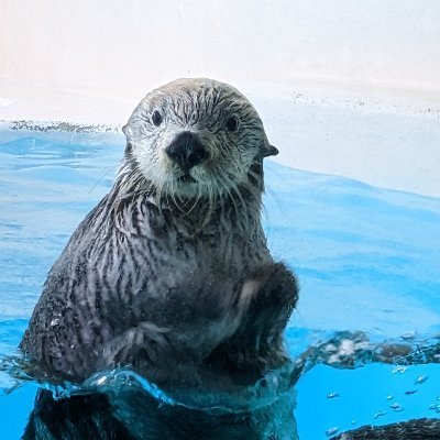 MizKattih's profile picture. 音楽で日々をリズムよく、映画で心を豊かに。