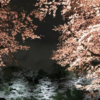 MasterPoyooon's profile picture. 