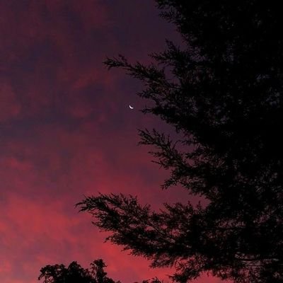 lucentme's profile picture. Do whatever makes your soul happy ✨