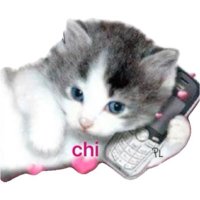 Meow (@j4odl) 's Twitter Profile