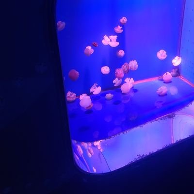 .さんのプロフィール画像