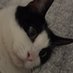 DFLAT (@dflat_y) Twitter profile photo DFLAT (@dflat_y) Twitter profile photo