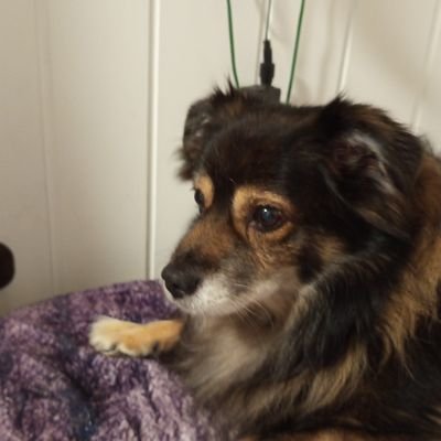 sanny73774201's profile picture. 