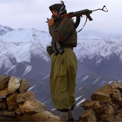 warmazyari's profile picture. Dentistry | Kurdishness | Humanity