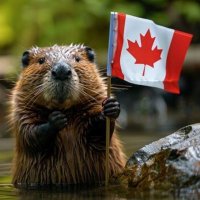 Big Canadian Beaver (@bigcdnbeaver) 's Twitter Profile