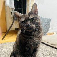 Rie (@hirocloverie) 's Twitter Profile