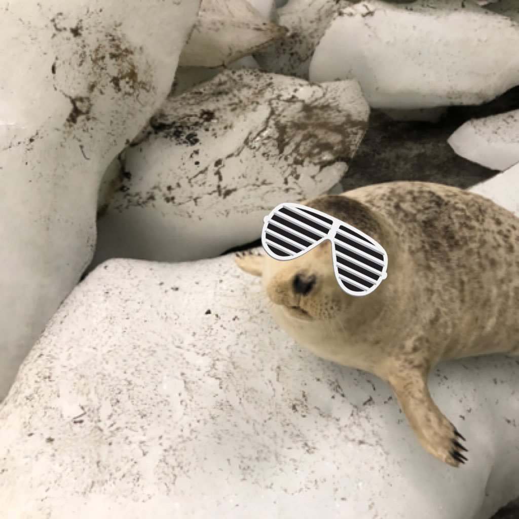 strider06639912's profile picture. 機械系すうちけいさんキッズfeat.Fortran